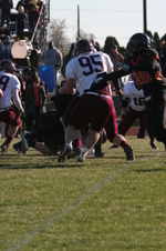 Enlarge photo 386