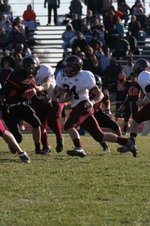 Enlarge photo 395