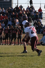 Enlarge photo 396