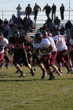 Enlarge photo 398