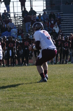 Enlarge photo 427