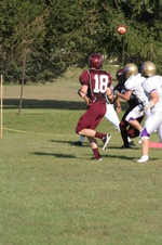 Enlarge photo 133