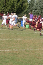 Enlarge photo 178
