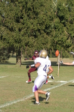 Enlarge photo 186