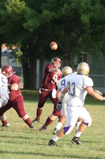 Enlarge photo 355