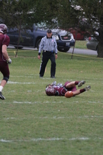 Enlarge photo 132