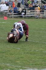 Enlarge photo 323