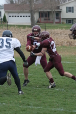 Enlarge photo 381