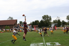 Enlarge photo 224