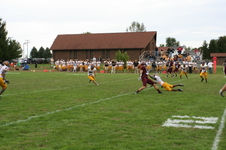 Enlarge photo 287