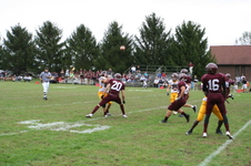 Enlarge photo 282