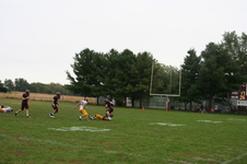 Enlarge photo 313