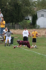 Enlarge photo 117