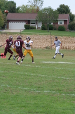 Enlarge photo 151