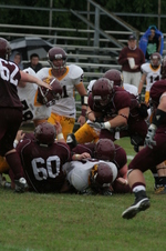 Enlarge photo 261