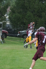 Enlarge photo 263