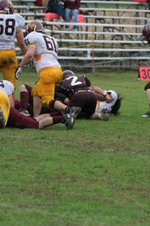 Enlarge photo 229