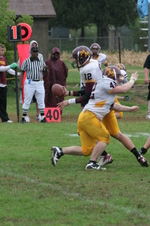 Enlarge photo 68