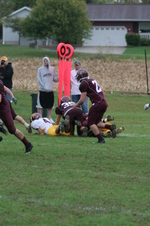 Enlarge photo 115