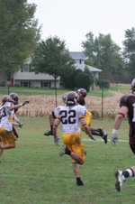 Enlarge photo 237