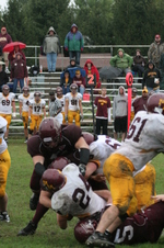Enlarge photo 231