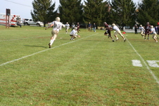 Enlarge photo 237