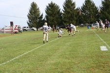 Enlarge photo 419