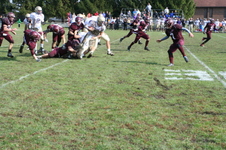 Enlarge photo 259