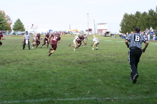 Enlarge photo 261