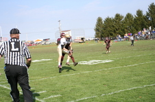Enlarge photo 253
