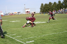 Enlarge photo 245