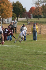 Enlarge photo 72