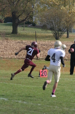 Enlarge photo 213