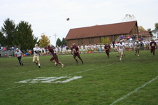 Enlarge photo 483