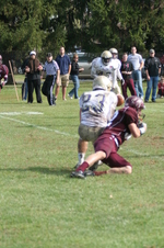 Enlarge photo 141