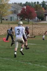 Enlarge photo 221