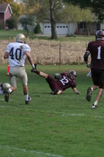 Enlarge photo 223