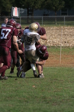 Enlarge photo 280
