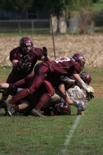 Enlarge photo 281