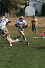 Enlarge photo 285