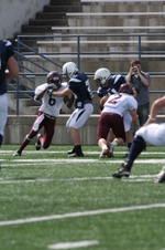 Enlarge photo 51