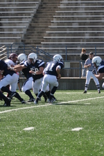 Enlarge photo 142