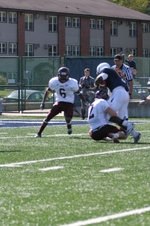 Enlarge photo 144