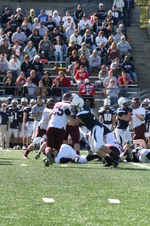 Enlarge photo 298