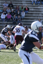 Enlarge photo 375