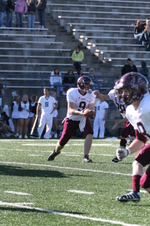 Enlarge photo 440