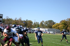 Enlarge photo 493