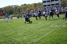 Enlarge photo 501