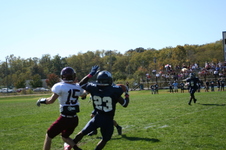 Enlarge photo 513
