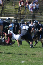Enlarge photo 48